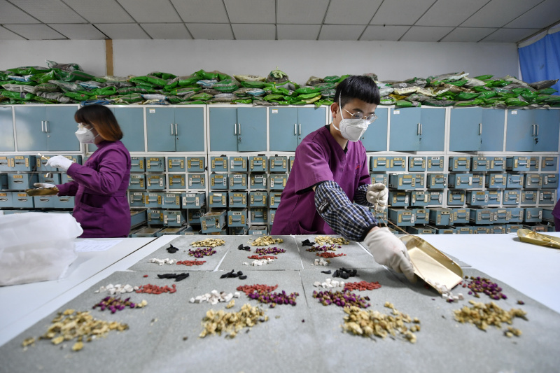 Des pharmaciens dispensent des médicaments traditionnels chinois à l'hôpital de médecine traditionnelle chinoise de l'arrondissement de Fengnan