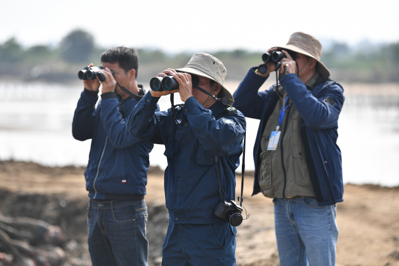 Des membres d'une équipe de patrouille observent des oiseaux dans les zones humides de la baie de Danzhou