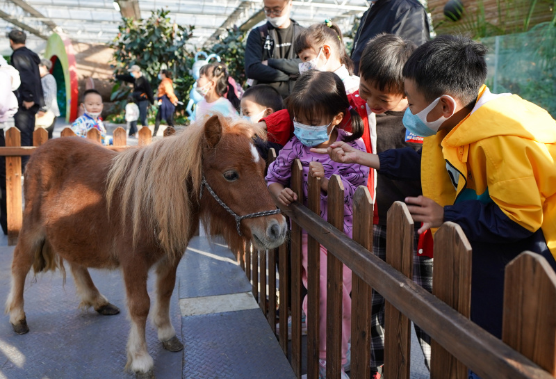 Des enfants profitent d'une foire agricole lors de leurs vacances à Beijing
