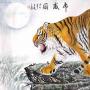 Le Tigre en Chine