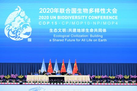 (miniature) Cérémonie d'ouverture de la 15e réunion de la Conférence des parties (COP15) à la Convention des Nations unies sur la diversité biologique