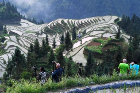 (miniature) Des photographes amateurs prennent des photos des champs en terrasses dans le bourg de Jiabang