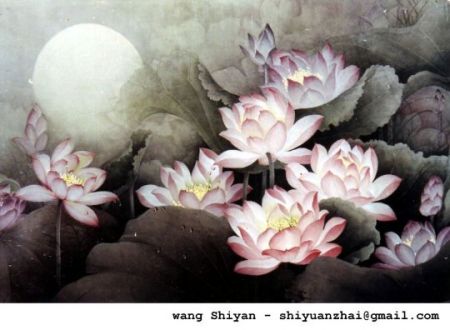 (miniature) Lotus chinois