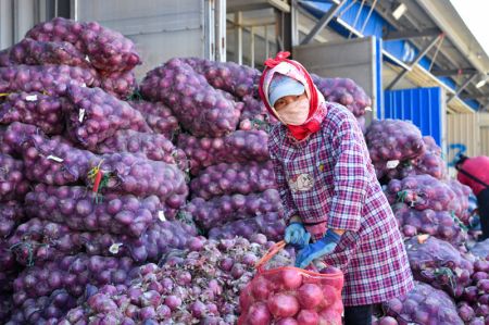 (miniature) Une vendeuse emballe des oignons au centre de commerce de légumes du marché de gros des produits agricoles de Xinjiang Jiuding à Urumqi