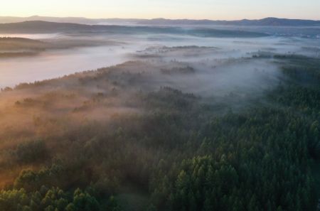 (miniature) Photo aérienne du paysage du Parc forestier national de Saihanba