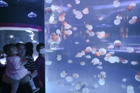 (miniature) Des gens visitent un aquarium à Fuzhou