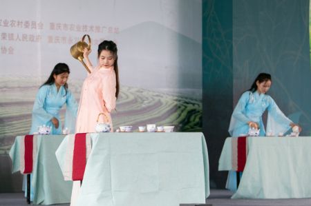 (miniature) Une présentation de l'art du thé dans une plantation de thé du bourg de Yongrong