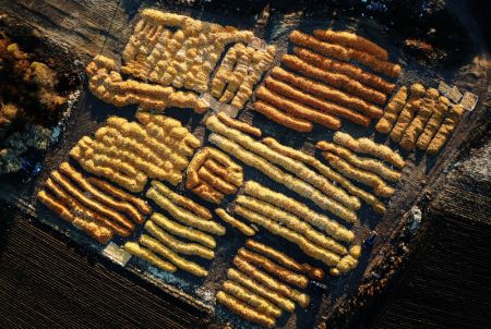 (miniature) Photo aérienne de maïs en train de sécher dans une cour du district de Baiquan