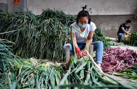 (miniature) Une vendeuse emballe des oignons verts au centre de commerce de légumes du marché de gros des produits agricoles de Xinjiang Jiuding à Urumqi