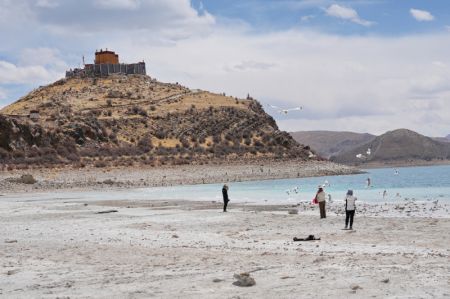 (miniature) Des touristes nourrissent des mouettes du Tibet à bord du lac Yamzbog Yumco