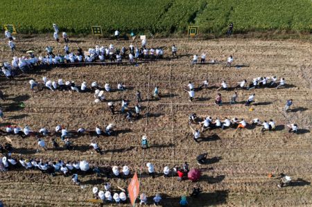 (miniature) Photo aérienne d'agriculteurs participant aux tirs à la corde dans le bourg de Datong de Jiande