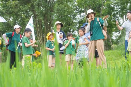 (miniature) Des enfants et leurs parents visitent l'île de Guangyang dans le cadre d'une visite pédagogique sur le thème de l'écologie dans la municipalité de Chongqing (sud-ouest)