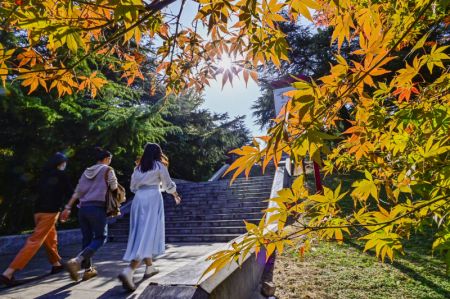 (miniature) Des personnes visitent le parc Fangongting à Qingzhou