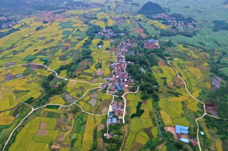 (miniature) Photo aérienne du paysage rural du village de Xinlin