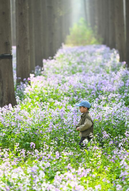 (miniature) Un enfant marche au milieu des fleurs dans le site touristique de la forêt aquatique de Jinhu