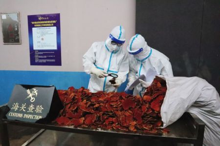 (miniature) Des douaniers examinent des plantes médicinales en provenance du Vietnam à bord d'un train à Pingxiang
