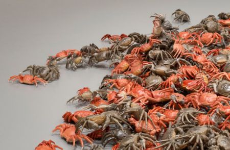 (miniature) Crabe de rivière