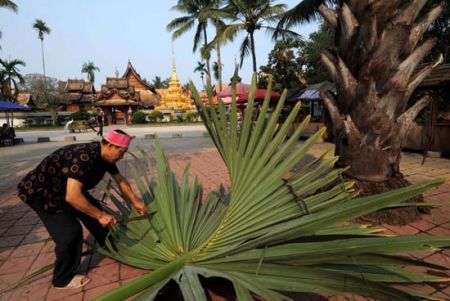 (miniature) Sûtras bouddhistes sur feuilles de palmier