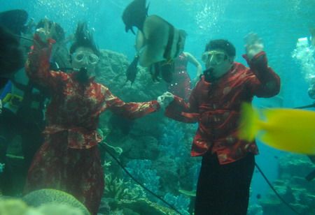 (miniature) Un couple chinois se marie sous l'eau, dans un aquarium géant