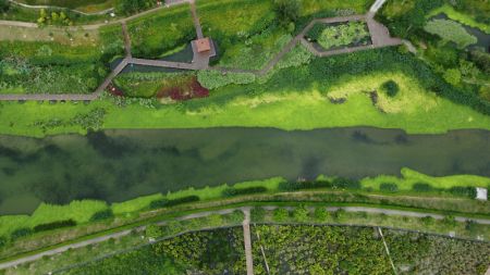 (miniature) Photo aérienne du Parc de zones humides de la rivière Nakao