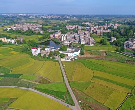 (miniature) Photo aérienne du paysage rural du bourg de Pumiao