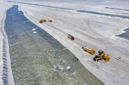 (miniature) Des camions transportent du sel brut collecté au lac Manas à Hoboksar
