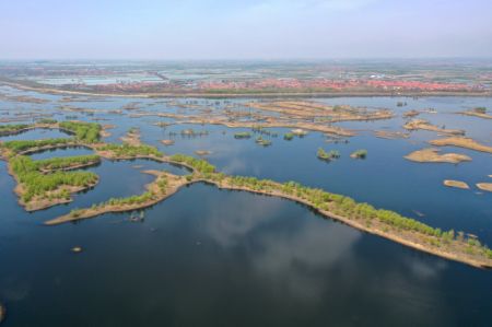 (miniature) Vue aérienne de la rivière Dagu à Qingdao