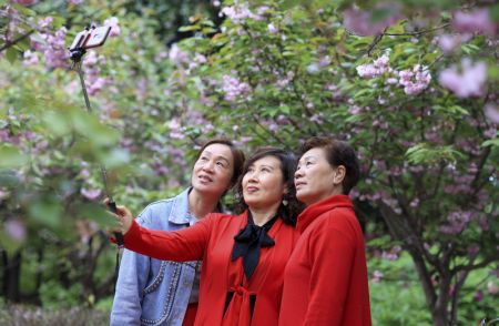 (miniature) Des personnes prennent des selfies avec des fleurs dans un parc industriel agricole moderne de la ville de Taizhou