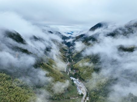 (miniature) Une photo aérienne prise par un drone le 30 janvier 2024 montrant le paysage du parc national de Wuyishan