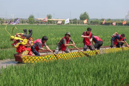 (miniature) Des participants lors d'une course de bateaux-dragons dans une rizière du bourg de Xionglongtai du nouvel arrondissement de Shenbei