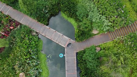 (miniature) Photo aérienne du Parc de zones humides de la rivière Nakao