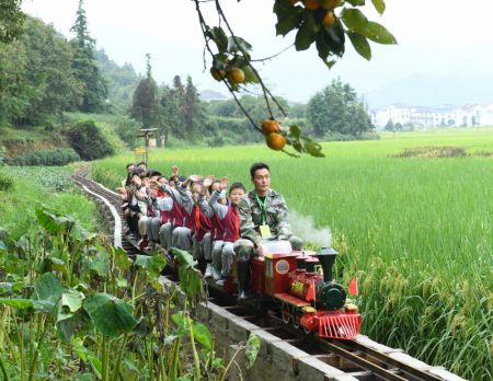 (miniature) Des gens dans un mini train admirent le paysage d'une rizière lors d'un événement célébrant la Fête de la moisson des agriculteurs chinois à Jiande
