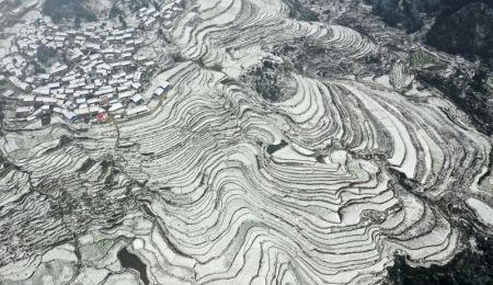 (miniature) Photo aérienne prise le 28 décembre 2021 montrant le paysage hivernal des champs en terrasses dans le district de Danzhai