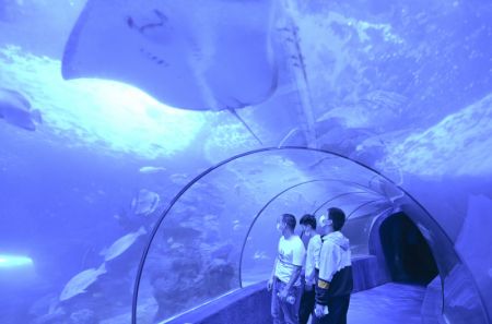 (miniature) Des gens visitent un aquarium à Fuzhou