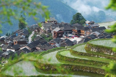 (miniature) Des champs en terrasses et un village où vivent des membres de l'ethnie Miao dans le bourg de Jiabang