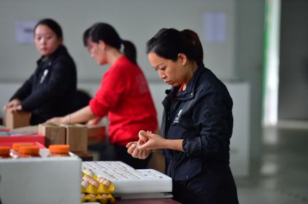 (miniature) Des employées d'une société d'e-commerce emballent des produits agricoles dans le district autonome Miao de Rongshui