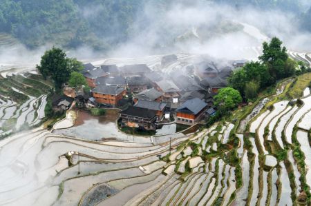 (miniature) Photo prise le 17 avril montrant des bâtiments traditionnels de l'ethnie Miao et des champs en terrasse à Jiabang