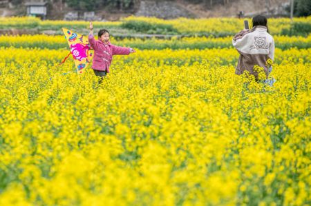 (miniature) Une fille fait voler un cerf-volant au milieu de fleurs de colza dans le bourg de Changsheng du district autonome Miao et Tujia de Pengshui