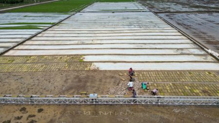 (miniature) Photo aérienne d'agriculteurs sur une base de démonstration de riziculture intelligente dans les champs du bourg de Gongyi