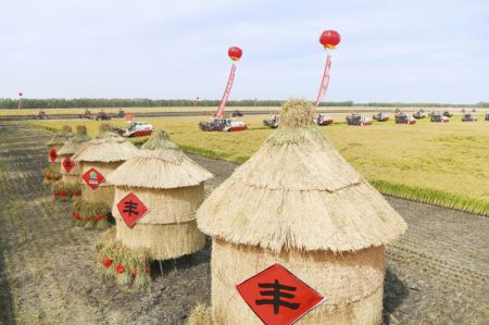 (miniature) Des machines agricoles récoltent du riz dans une ferme