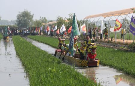 (miniature) Des participants lors d'une course de bateaux-dragons dans une rizière du bourg de Xionglongtai du nouvel arrondissement de Shenbei