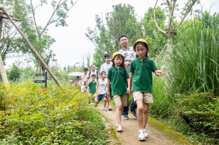 (miniature) Des enfants et leurs parents visitent l'île de Guangyang dans le cadre d'une visite pédagogique sur le thème de l'écologie dans la municipalité de Chongqing (sud-ouest)