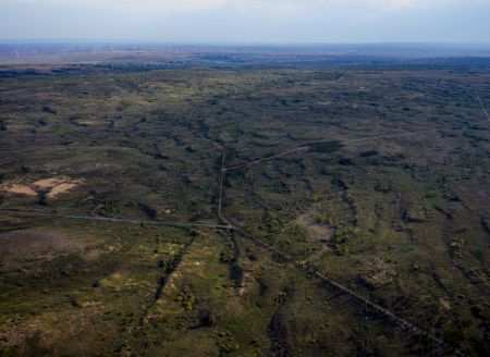(miniature) Photo aérienne d'une zone expérimentale de contrôle de la désertification à Yanchi