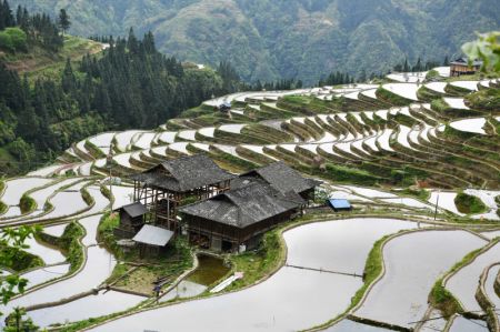 (miniature) Photo prise le 16 avril 2020 montrant des champs en terrasse à Jiabang
