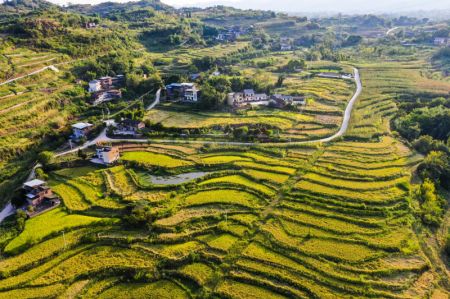 (miniature) Photo aérienne du paysage du village de Shiping du bourg de Sansheng