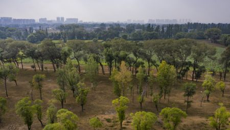 (miniature) Photo aérienne du paysage d'un parc de terre humide dans le district de Jingbian de la province chinoise du Shaanxi (nord-ouest)