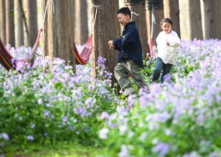 (miniature) Des enfants jouent au milieu des fleurs dans le site touristique de la forêt aquatique de Jinhu