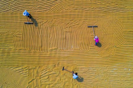 (miniature) Photo aérienne prise le 14 septembre 2021 de villageois faisant sécher du millet dans le district de Yuanqu de la ville de Yuncheng