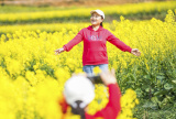 Photos Chine : champ de fleurs de colza au Guizhou