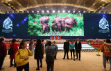 Photos : Ouverture au public d'un site de la COP15  Kunming